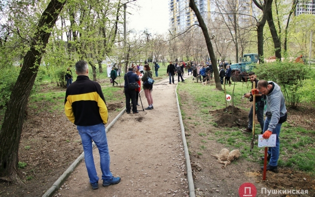 В Одессе люди с донорскими органами высадили В Одессе люди с донорскими органами высадили