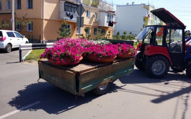 В Авангарде пластиковые бутылки меняют на цветы (ФОТО) Фото № 1 В Авангарде пластиковые бутылки меняют на цветы (ФОТО) Фото № 1