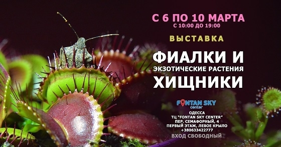 В Одессе к 8 марта состоится весенняя выставка цветов Фото № 0 В Одессе к 8 марта состоится весенняя выставка цветов Фото № 0