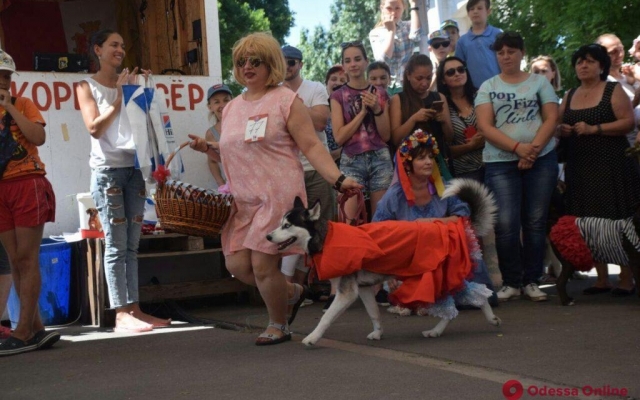 В Одессу приехали более 200 четверолапых гостей со всей Украины (фото) Фото № 1 В Одессу приехали более 200 четверолапых гостей со всей Украины (фото) Фото № 1