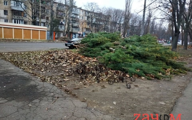 На Черёмушках начали торговать ёлками Фото № 0 На Черёмушках начали торговать ёлками Фото № 0