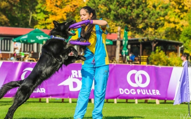 В Одессе пройдут Национальный чемпионат Dog Puller и собачий праздник Фото № 0 В Одессе пройдут Национальный чемпионат Dog Puller и собачий праздник Фото № 0