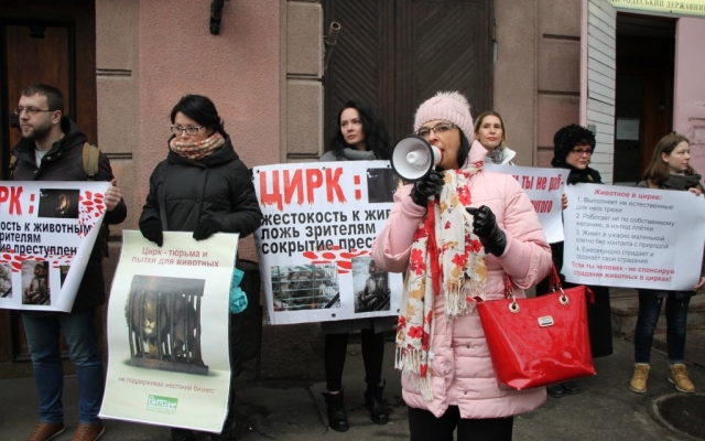 Зоозащитники вновь вышли под стены Одесского цирка (ФОТО) Фото № 7 Зоозащитники вновь вышли под стены Одесского цирка (ФОТО) Фото № 7