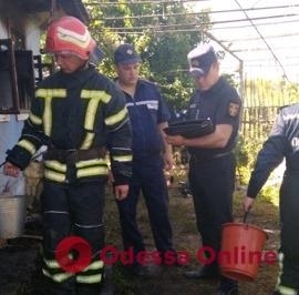 Трагедия в Одесской области: на пожаре погибло четверо детей Фото № 0 Трагедия в Одесской области: на пожаре погибло четверо детей Фото № 0