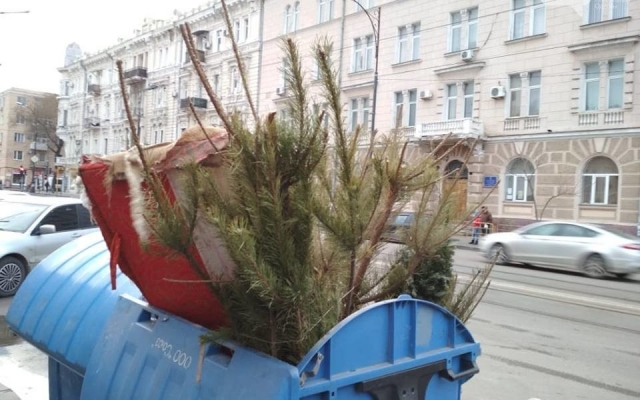 В Одессе продолжают выбрасывать новогодние ёлки (ФОТО) Фото № 5 В Одессе продолжают выбрасывать новогодние ёлки (ФОТО) Фото № 5