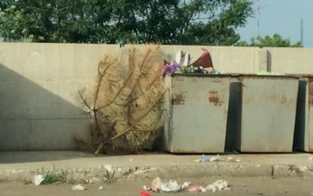 В Килии ещё один слабак выбросил новогоднюю ёлку (ФОТО) Фото № 0 В Килии ещё один слабак выбросил новогоднюю ёлку (ФОТО) Фото № 0