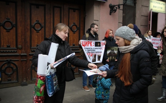 Зоозащитники вновь вышли под стены Одесского цирка (ФОТО) Фото № 3 Зоозащитники вновь вышли под стены Одесского цирка (ФОТО) Фото № 3