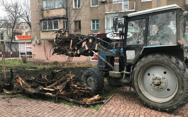 За неделю в Одессе высадили более 60-ти деревьев Фото № 0 За неделю в Одессе высадили более 60-ти деревьев Фото № 0