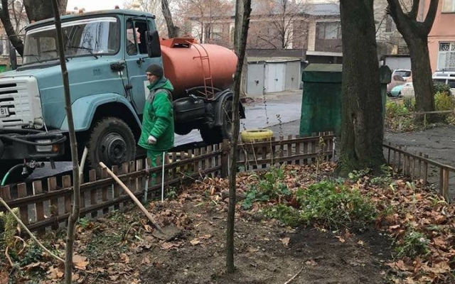 Пока нет морозов «Горзелентрест» активно высаживает деревья Фото № 1 Пока нет морозов «Горзелентрест» активно высаживает деревья Фото № 1