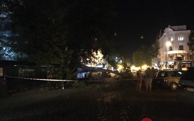 В центре Одессы дерево упало на авто Фото № 0 В центре Одессы дерево упало на авто Фото № 0
