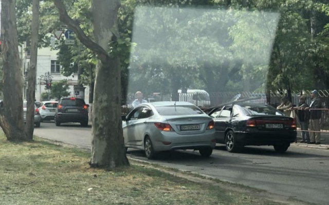 В Одессе из-за упавшего дерева ограничено движение некоторых троллейбусов Фото № 0 В Одессе из-за упавшего дерева ограничено движение некоторых троллейбусов Фото № 0