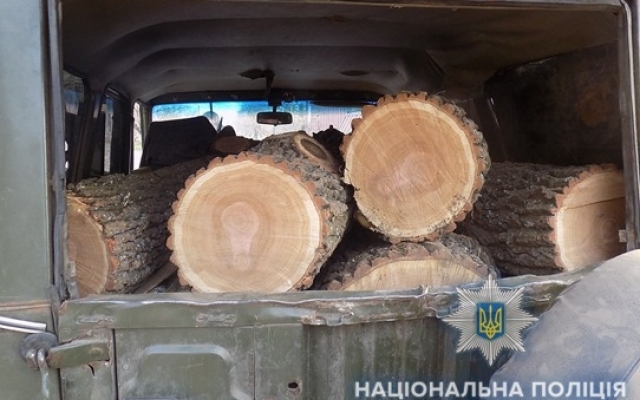 В Одесской области задержали мужчину, который рубил древесину незаконно (ФОТО) Фото № 1 В Одесской области задержали мужчину, который рубил древесину незаконно (ФОТО) Фото № 1