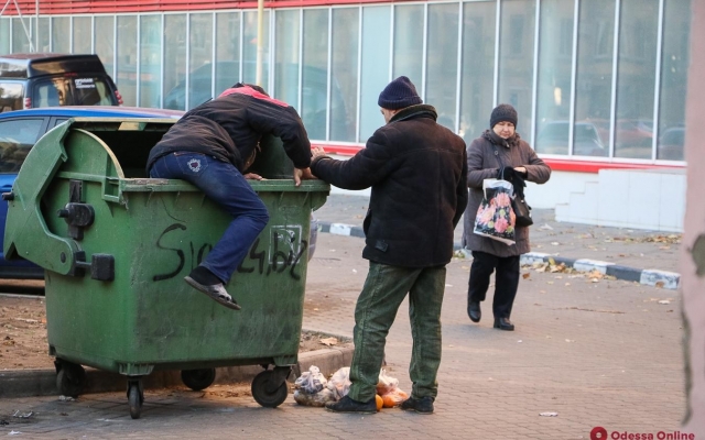 Коты и холодная осень на Молдаванке (ФОТО) Фото № 7 Коты и холодная осень на Молдаванке (ФОТО) Фото № 7