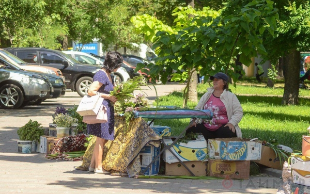 Освящённая зелень: в Одессе праздновали Троицу Фото № 3 Освящённая зелень: в Одессе праздновали Троицу Фото № 3