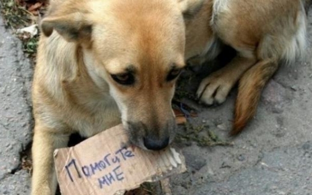 Одесский Одесский