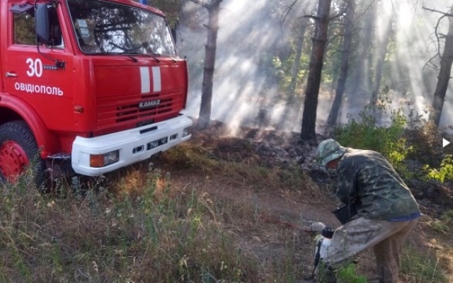 В Великодолинском лесничестве горела сухая трава Фото № 1 В Великодолинском лесничестве горела сухая трава Фото № 1