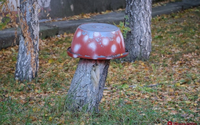 Коты и холодная осень на Молдаванке (ФОТО) Фото № 2 Коты и холодная осень на Молдаванке (ФОТО) Фото № 2