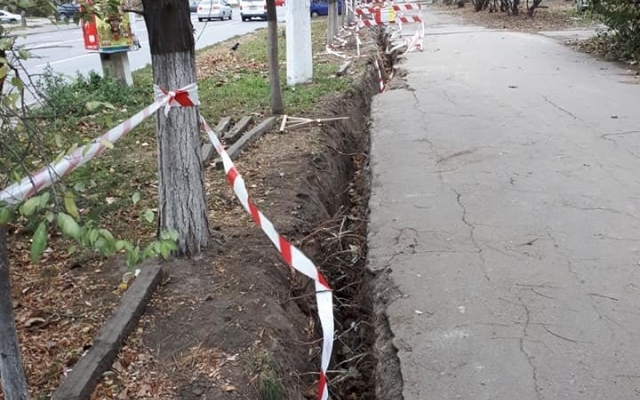 Одесские коммунальщики вырвали корни молодых деревьев (ФОТО) Фото № 2 Одесские коммунальщики вырвали корни молодых деревьев (ФОТО) Фото № 2