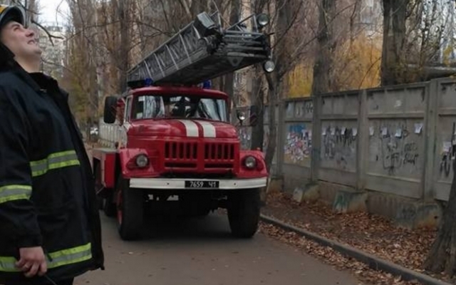 Спасатели попытались снять кота с высокого тополя, но он самостоятельно спрыгнул и получил повреждения Фото № 2 Спасатели попытались снять кота с высокого тополя, но он самостоятельно спрыгнул и получил повреждения Фото № 2