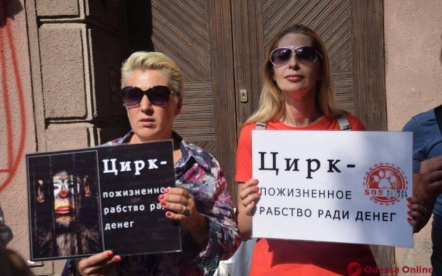 «Цирк без животных»: одесские зоозащитники провели митинг Фото № 0 «Цирк без животных»: одесские зоозащитники провели митинг Фото № 0