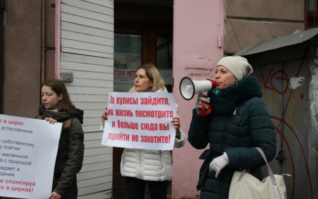 Зоозащитники вновь вышли под стены Одесского цирка (ФОТО) Фото № 10 Зоозащитники вновь вышли под стены Одесского цирка (ФОТО) Фото № 10