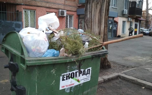 В Одессе продолжают выбрасывать новогодние ёлки (ФОТО) Фото № 1 В Одессе продолжают выбрасывать новогодние ёлки (ФОТО) Фото № 1