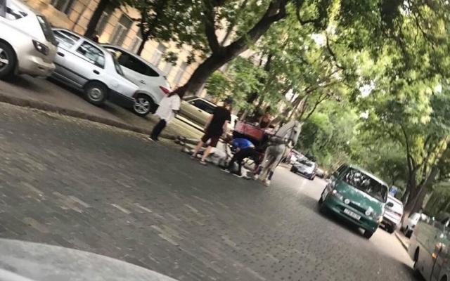 Одесский активист сдал в полицию карету с лошадьми (ФОТО) Фото № 3 Одесский активист сдал в полицию карету с лошадьми (ФОТО) Фото № 3