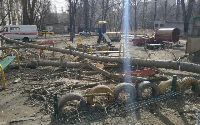 В Одессе на детской площадке рухнуло дерево: есть пострадавшие Фото № 2 В Одессе на детской площадке рухнуло дерево: есть пострадавшие Фото № 2