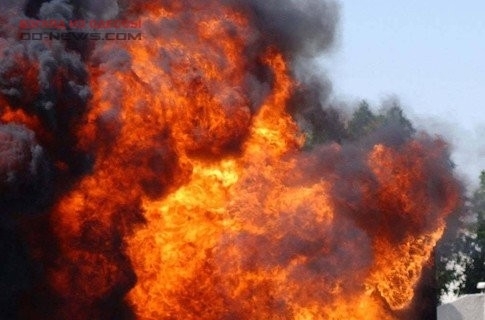 Огнем в Одесской области уничтожено больше 10 гектар растений Фото № 0 Огнем в Одесской области уничтожено больше 10 гектар растений Фото № 0