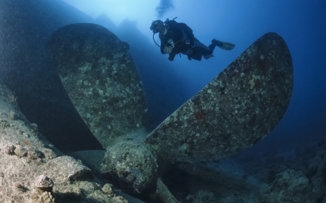 На дне Черного моря нашли затонувшие корабли и самолет Фото № 0 На дне Черного моря нашли затонувшие корабли и самолет Фото № 0