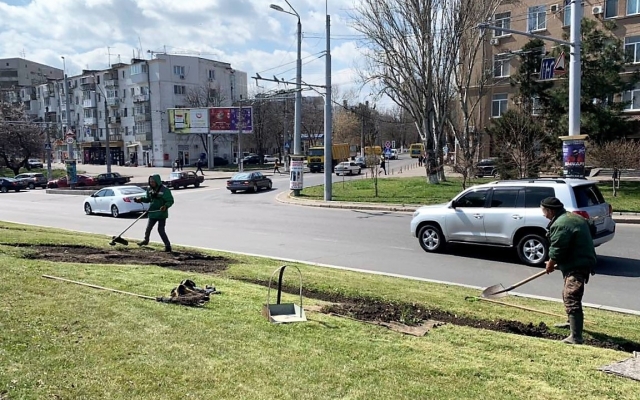 В парках и скверах Одессы прошли субботники (ФОТО) Фото № 10 В парках и скверах Одессы прошли субботники (ФОТО) Фото № 10