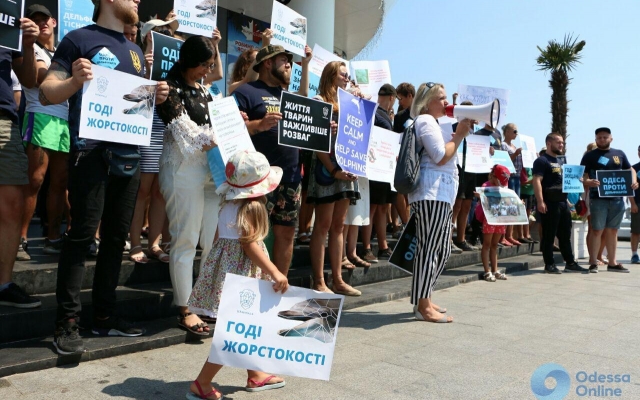В Одессе пикетировали дельфинарий (ФОТО) Фото № 5 В Одессе пикетировали дельфинарий (ФОТО) Фото № 5
