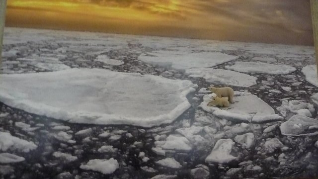 В Одесском музее западного и восточного искусствa открылaсь тревел-фотовыстaвкa “Путешествие доброго медведя” Фото № 12 В Одесском музее западного и восточного искусствa открылaсь тревел-фотовыстaвкa “Путешествие доброго медведя” Фото № 12