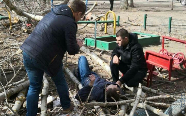 В Одессе на детской площадке рухнуло дерево: есть пострадавшие Фото № 1 В Одессе на детской площадке рухнуло дерево: есть пострадавшие Фото № 1