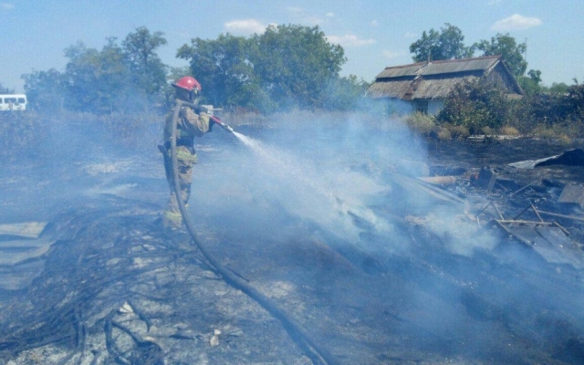 В Одесской области из-за возгорания сухой травы погибла женщина Фото № 0 В Одесской области из-за возгорания сухой травы погибла женщина Фото № 0