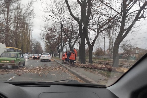 В Одесе сильный ветер валит деревья Фото № 1 В Одесе сильный ветер валит деревья Фото № 1