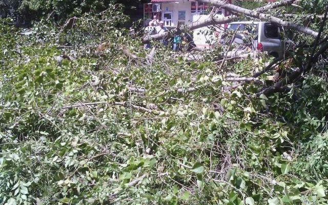 В Одессе продолжается В Одессе продолжается