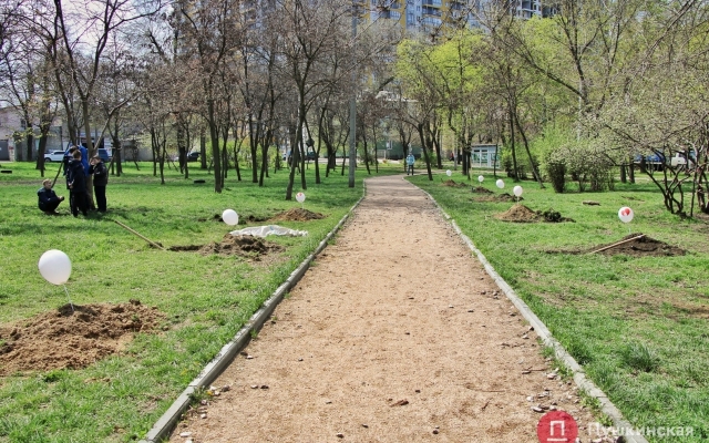 В Одессе люди с донорскими органами высадили В Одессе люди с донорскими органами высадили