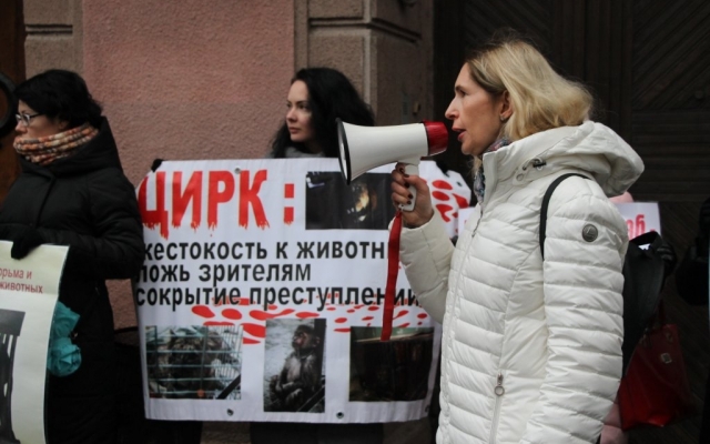 Зоозащитники вновь вышли под стены Одесского цирка (ФОТО) Фото № 0 Зоозащитники вновь вышли под стены Одесского цирка (ФОТО) Фото № 0
