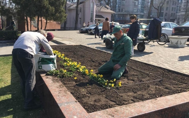 В парке Одессы начали высаживать весенние цветы (ФОТО) Фото № 2 В парке Одессы начали высаживать весенние цветы (ФОТО) Фото № 2
