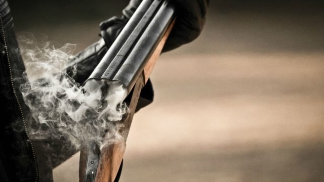 В Одесской области мужчина застрелил собаку соседей Фото № 0 В Одесской области мужчина застрелил собаку соседей Фото № 0