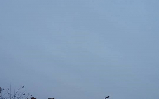 На улице Пастера появились новые дорожные знаки Фото № 3 На улице Пастера появились новые дорожные знаки Фото № 3