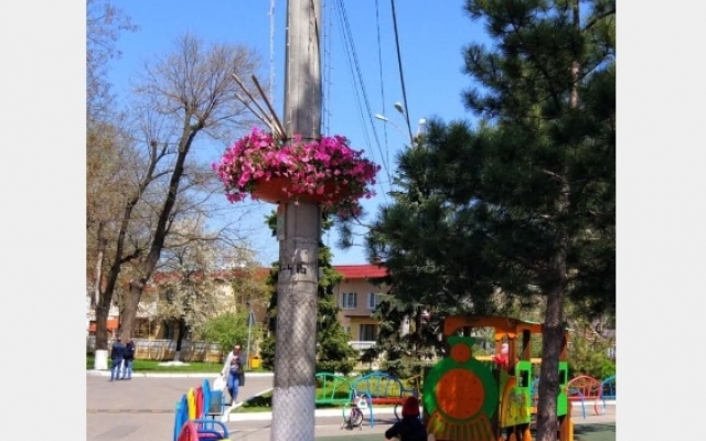 В Авангарде пластиковые бутылки меняют на цветы (ФОТО) Фото № 4 В Авангарде пластиковые бутылки меняют на цветы (ФОТО) Фото № 4