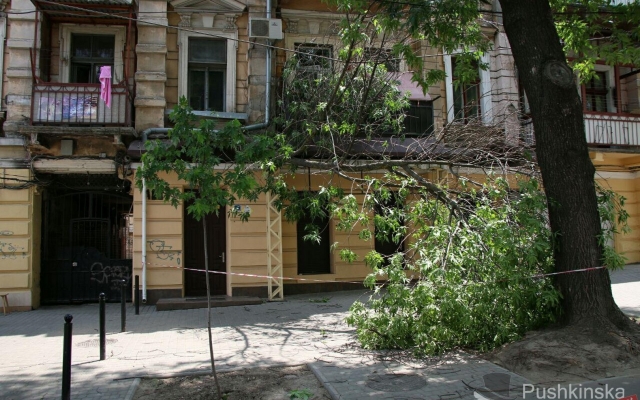 В центре Одессы рухнула огромная ветка на провода (ФОТО) Фото № 2 В центре Одессы рухнула огромная ветка на провода (ФОТО) Фото № 2