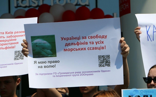 В Одессе пикетировали дельфинарий (ФОТО) Фото № 0 В Одессе пикетировали дельфинарий (ФОТО) Фото № 0