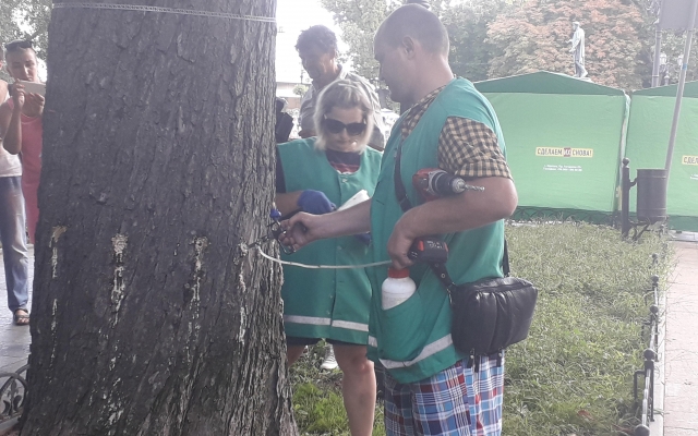 В центре Одессы деревья прививали от вредителей (ФОТО, ВИДЕО) Фото № 2 В центре Одессы деревья прививали от вредителей (ФОТО, ВИДЕО) Фото № 2