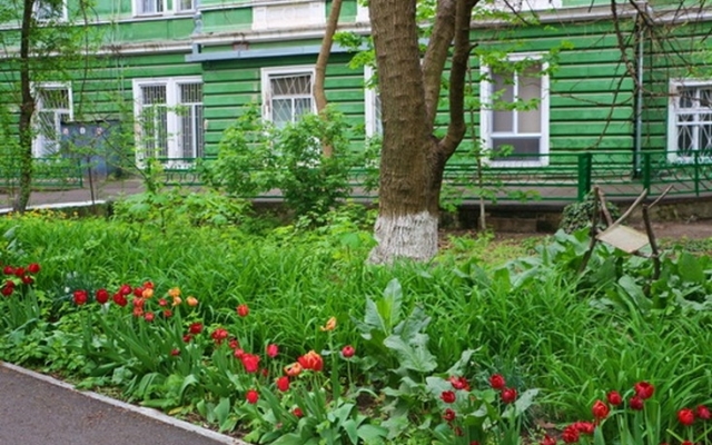 Как одесские врачи город благоустраивали накануне праздников Фото № 14 Как одесские врачи город благоустраивали накануне праздников Фото № 14