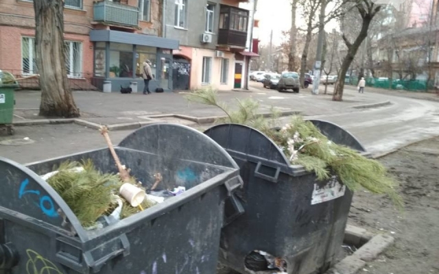 В Одессе продолжают выбрасывать новогодние ёлки (ФОТО) Фото № 4 В Одессе продолжают выбрасывать новогодние ёлки (ФОТО) Фото № 4