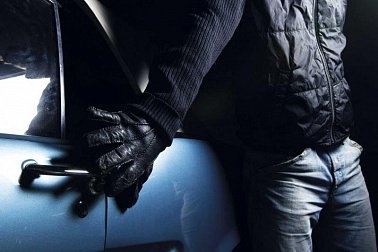 В Одесской области из прокурорской машины похитили норковую шубу Фото № 0 В Одесской области из прокурорской машины похитили норковую шубу Фото № 0