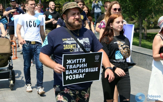 В Одессе пикетировали дельфинарий (ФОТО) Фото № 2 В Одессе пикетировали дельфинарий (ФОТО) Фото № 2